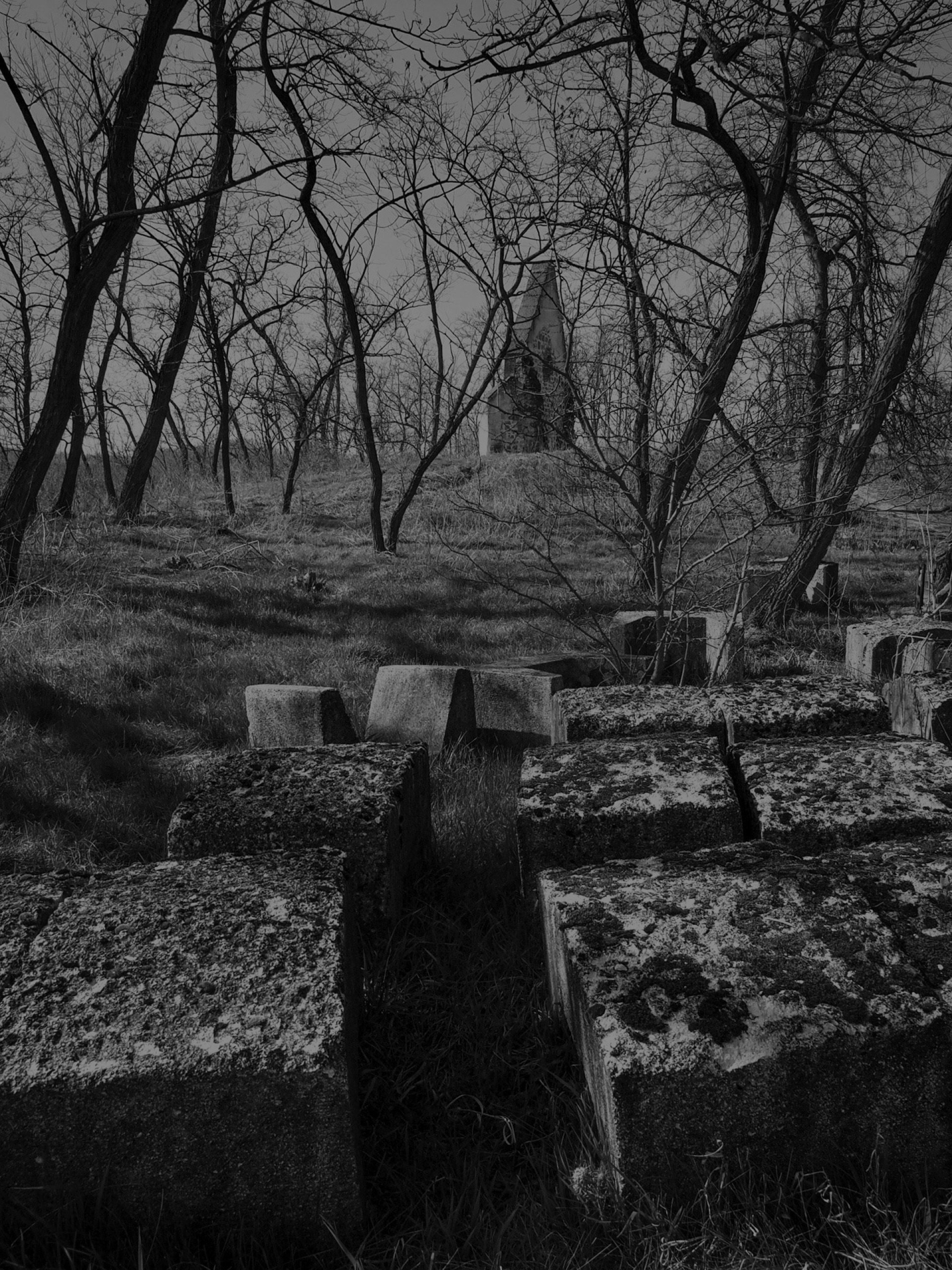 The church seen through the bare trees of the old graveyard