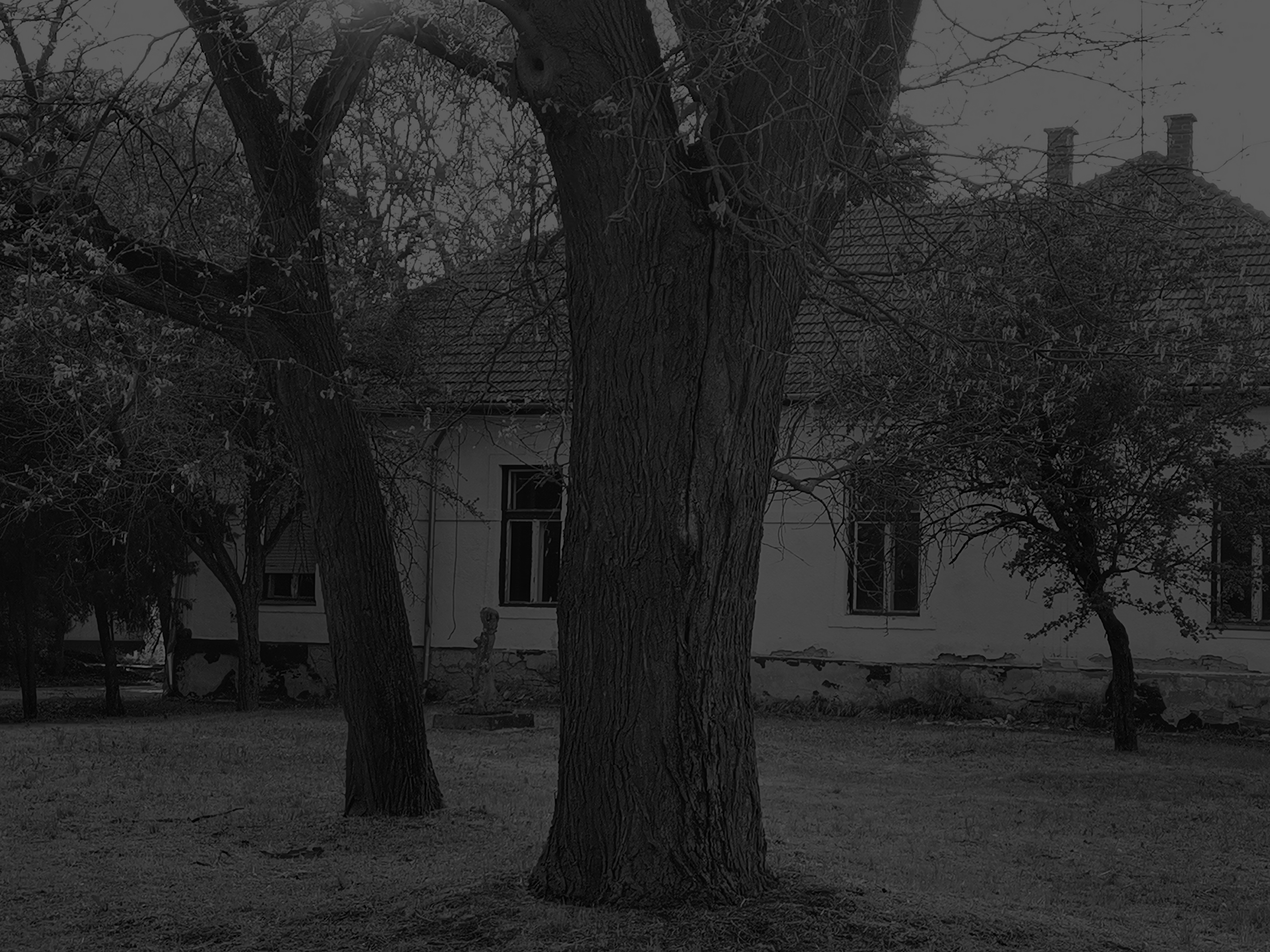 The Vasadi Kastély seen from the garden, through the old chestnut trees